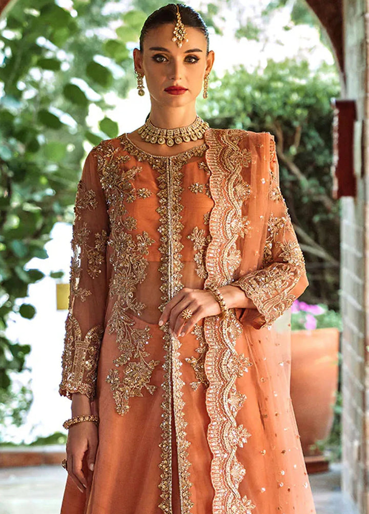 Riwayat by Maryum N Maria Embroidered Net Suits Unstitched 3 Piece MNM24RW Amanthi MW24-552 - Formal Collection