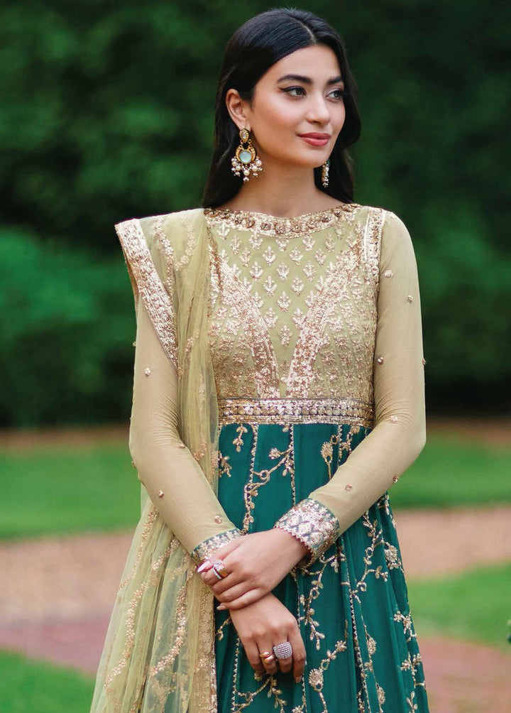 Aafreen By Roheenaz Embroidered Chiffon Suits Unstitched 4 Piece RO22KC RNZ22-02 Chandani - Luxury Collection