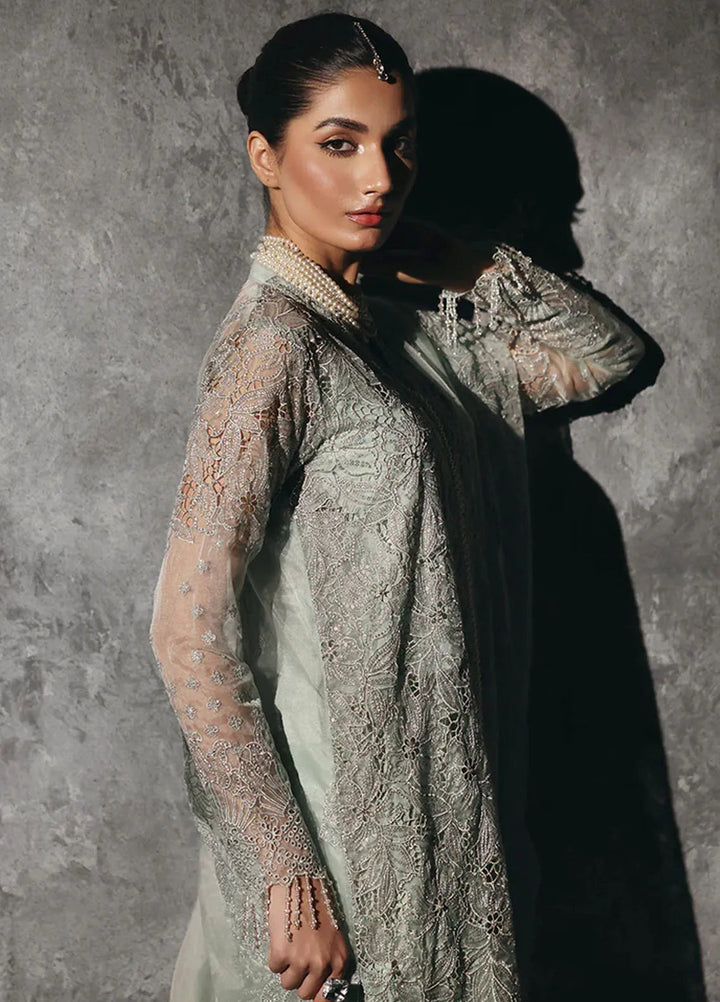 Sage By Rajbari Embroidered Organza Suit Unstitched 4 Piece RB24Sf D-03 Astoria - Formal Collection