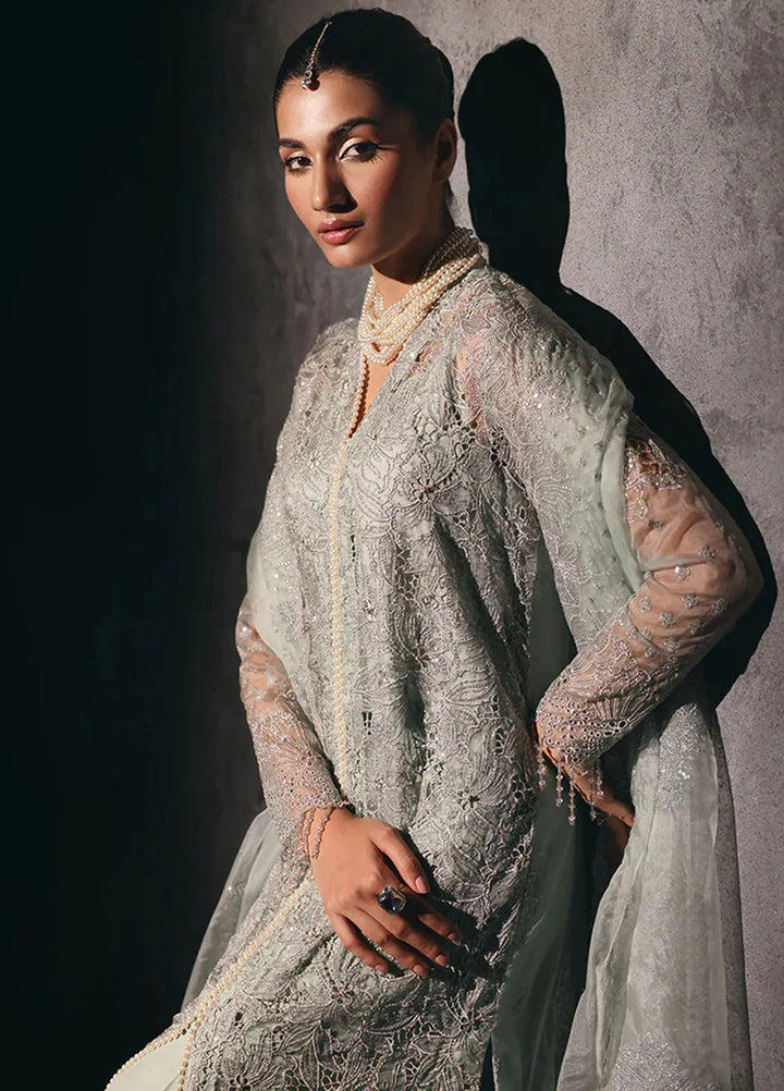 Sage By Rajbari Embroidered Organza Suit Unstitched 4 Piece RB24Sf D-03 Astoria - Formal Collection