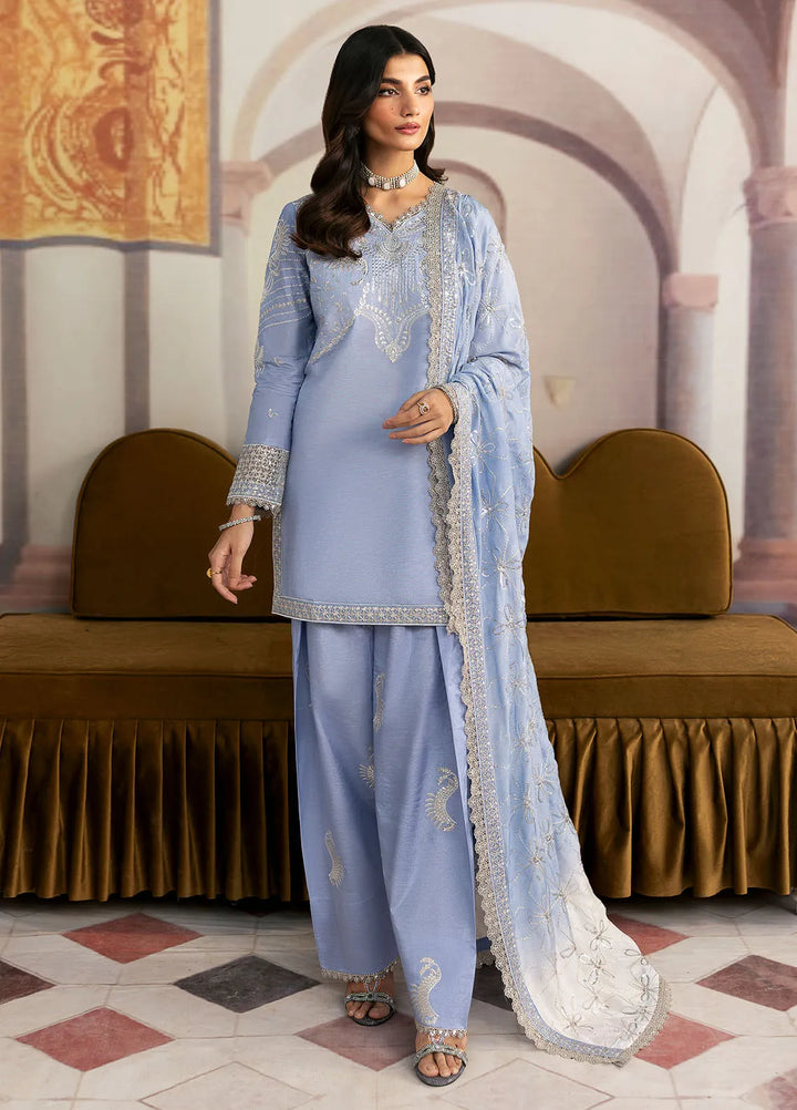 Sahane Embroidered Raw Silk Suits Unstitched 3 Piece SNE24TG TSG-05 Abyss - Festive Collection