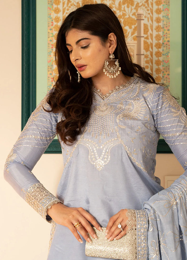 Sahane Embroidered Raw Silk Suits Unstitched 3 Piece SNE24TG TSG-05 Abyss - Festive Collection
