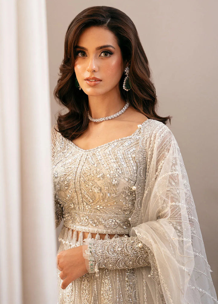 Saira Rizwan Embroidered Net Suits Unstitched 4 Piece SRF-D-01 Liara - Festive Collection