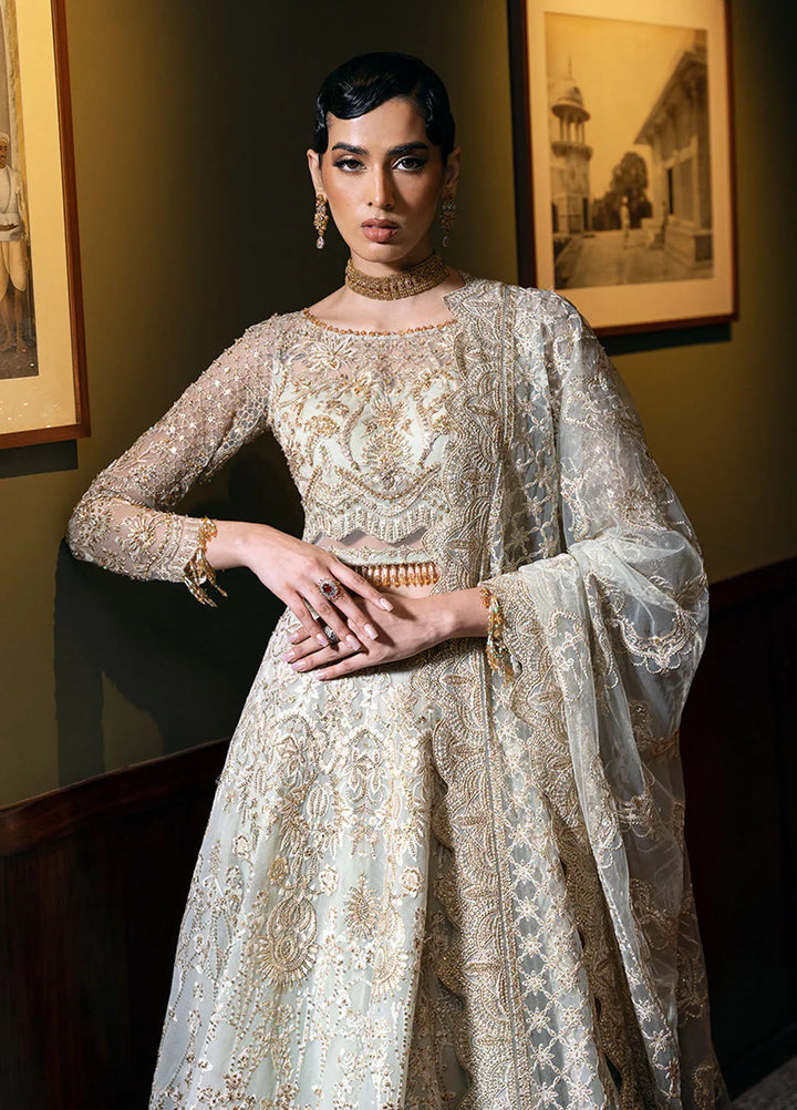 Saira Rizwan Embroidered Net Suits Unstitched 4 Piece SRF-D-02 Lucent - Festive Collection