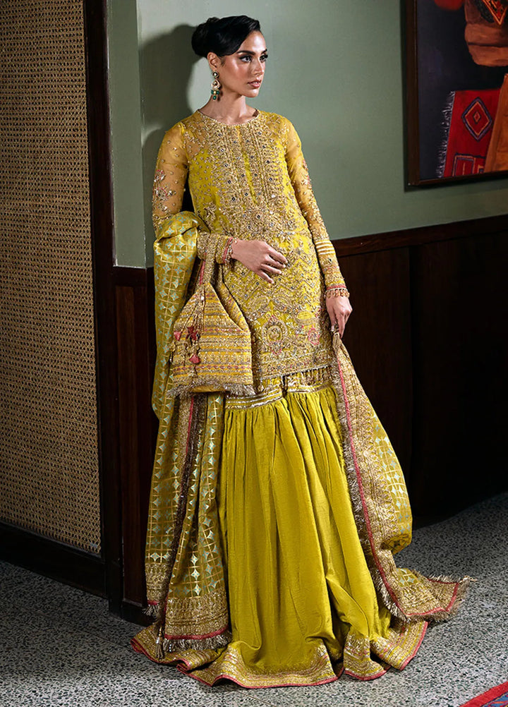 Saira Rizwan Embroidered Organza Suits Unstitched 4 Piece SRF-D-08 Sera - Festive Collection