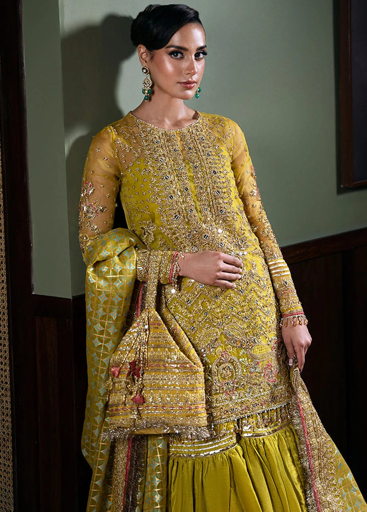 Saira Rizwan Embroidered Organza Suits Unstitched 4 Piece SRF-D-08 Sera - Festive Collection