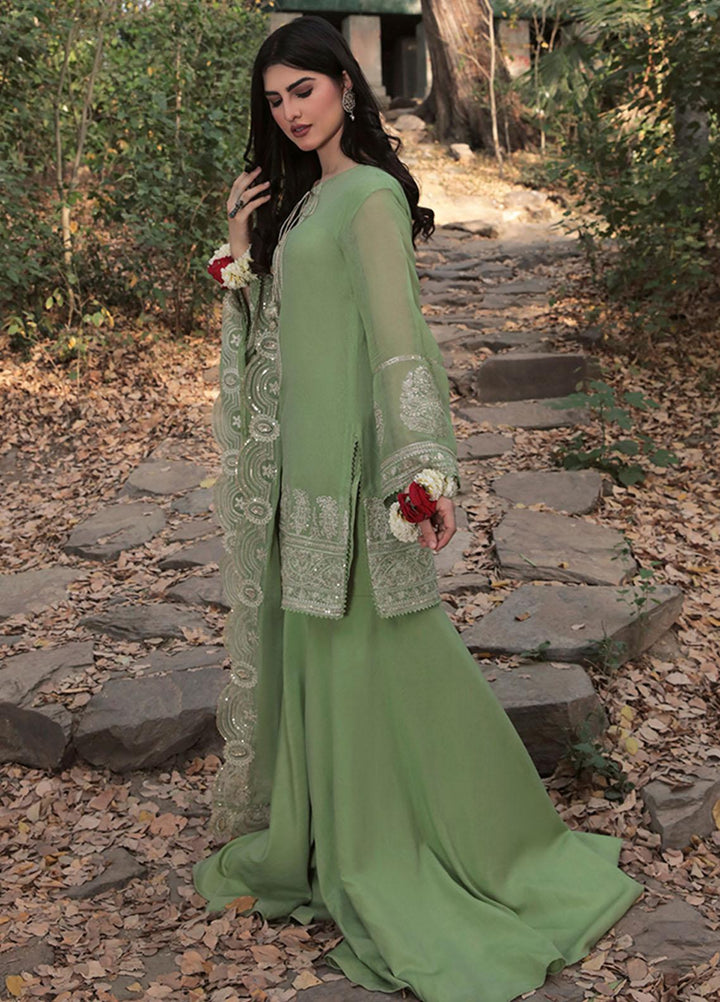 Saira Rizwan Ready to Wear  Cotton Net 4 Piece SR22KGE GUL - B