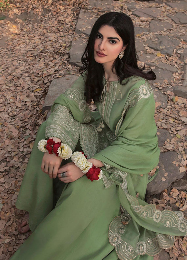 Saira Rizwan Ready to Wear  Cotton Net 4 Piece SR22KGE GUL - B