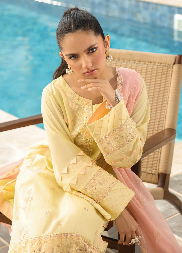 Salitex Embroidered Lawn Suits Unstitched 3 Piece SUNS7ALM063UT - Summer Collection