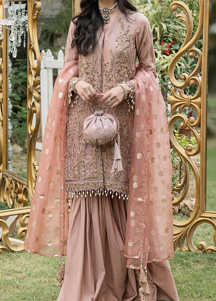 Salitex Embroidered Chiffon Suits Unstitched 3 Piece ST21F HC-00018UT Lilly - Luxury Collection