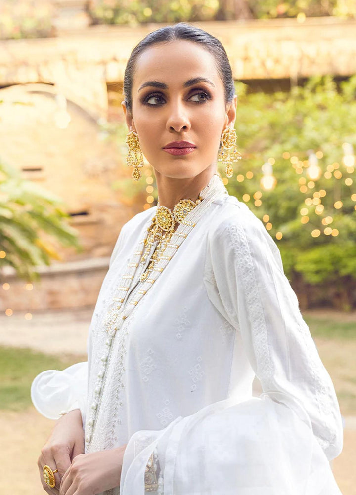 Salitex Embroidered Lawn Suits Unstitched 3 Piece ST22NEK R00006 - Summer Collection