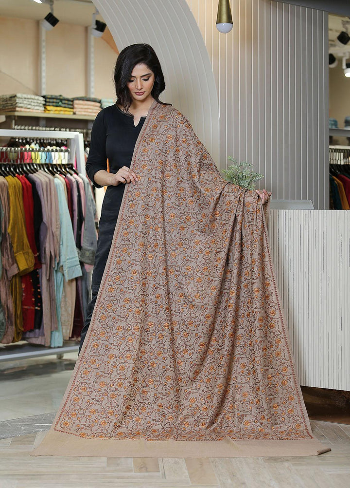 Sanaulla Exclusive Range  Pashmina  KPS 781 D-18 Brown - Women Shawls