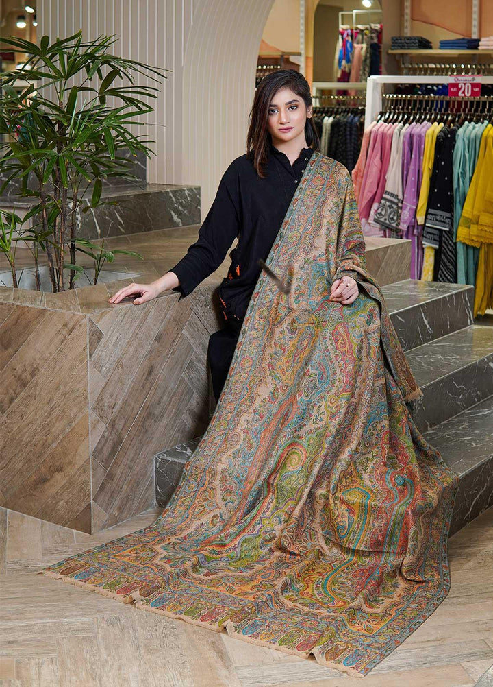 Sanaulla Exclusive Range  Pashmina  Shawls MAMA-42 Multi-3 - Pashmina Shawls