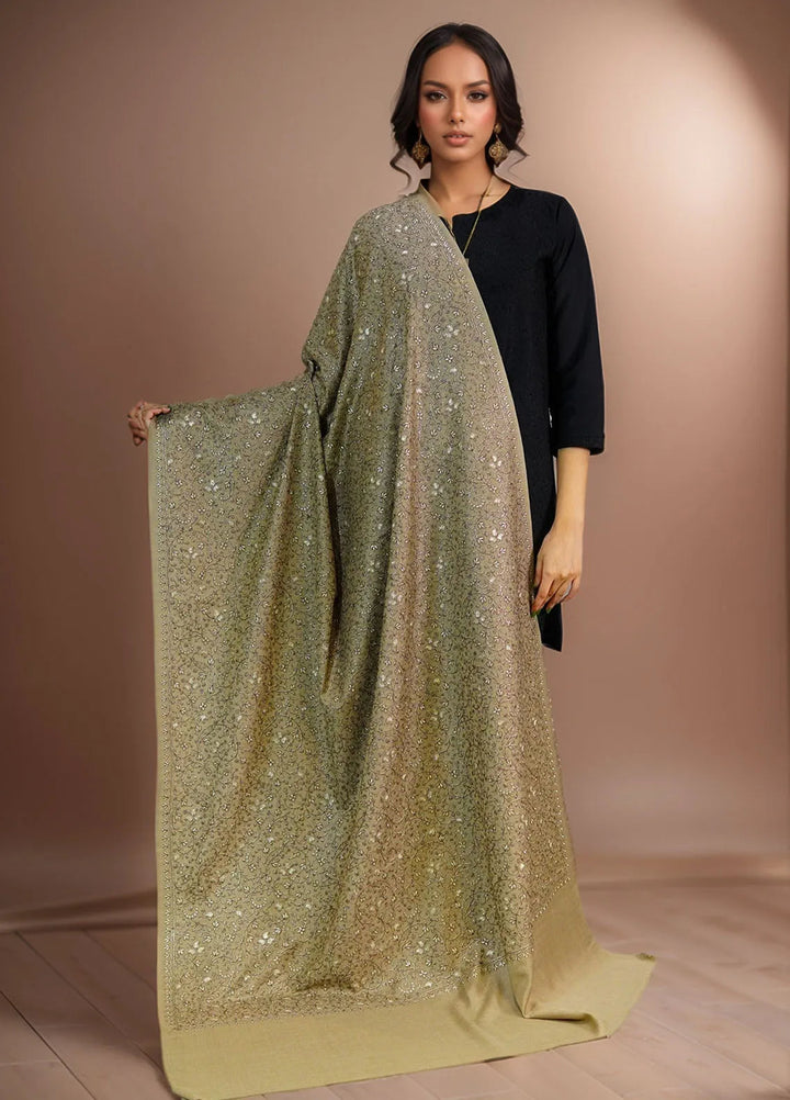 Sanaulla Exclusive Range Pashmina Shawl D-16 Light Brown - Winter Collection