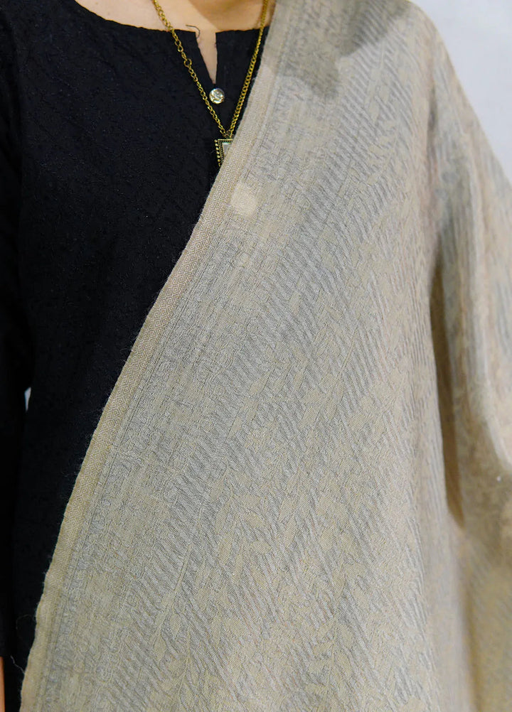 Sanaulla Exclusive Range Pashmina Shawl D-28 Fawn - Winter Collection