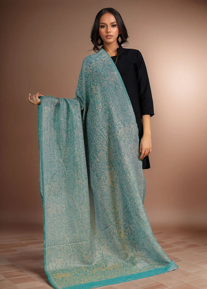 Sanaulla Exclusive Range Pashmina Shawl D-28 Light Green - Winter Collection