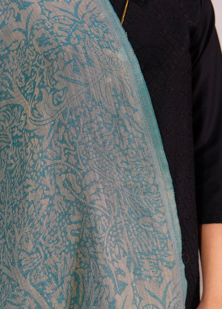 Sanaulla Exclusive Range Pashmina Shawl D-28 Light Green - Winter Collection