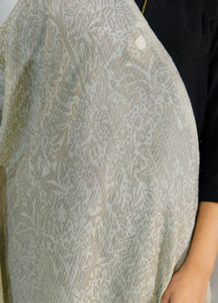 Sanaulla Exclusive Range Pashmina Shawl D-28 Light Grey 1 - Winter Collection