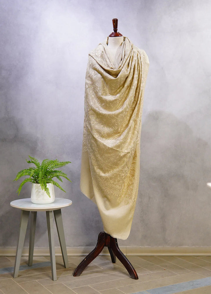 Sanaulla Exclusive Range Pashmina Shawl D-48 Light Grey 3 - Winter Collection