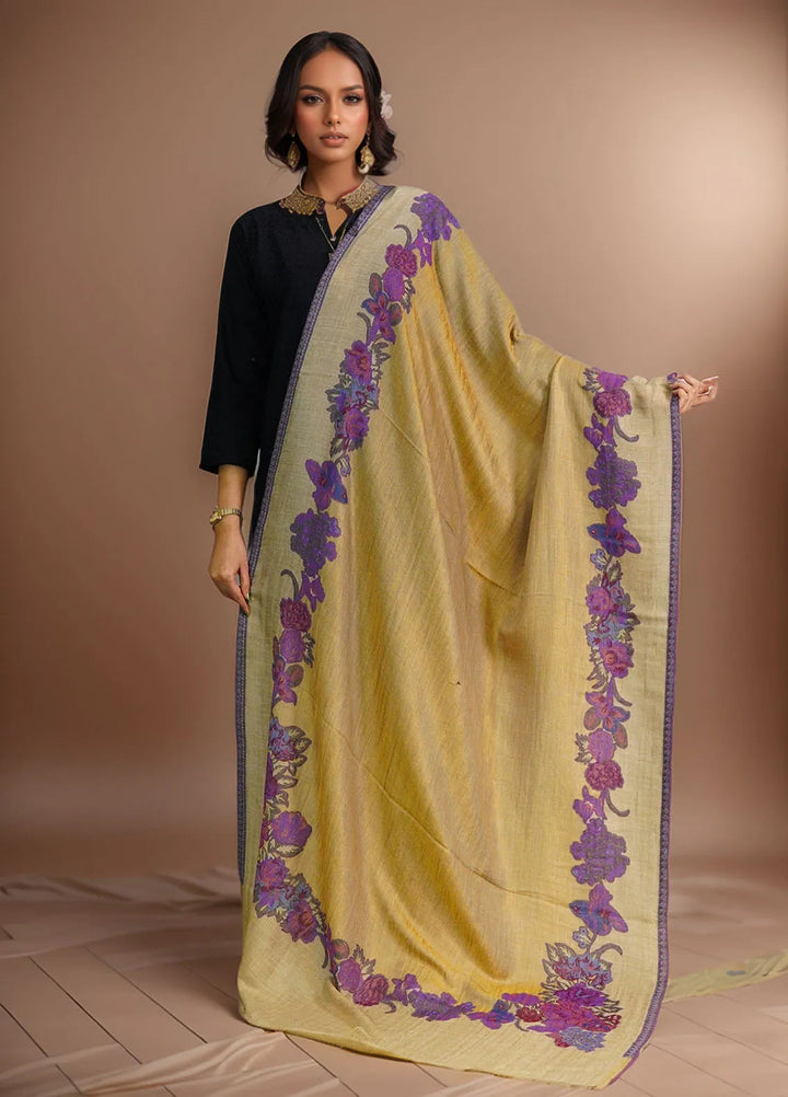 Sanaulla Exclusive Range Pashmina Shawl D-54 Brown 3 - Winter Collection
