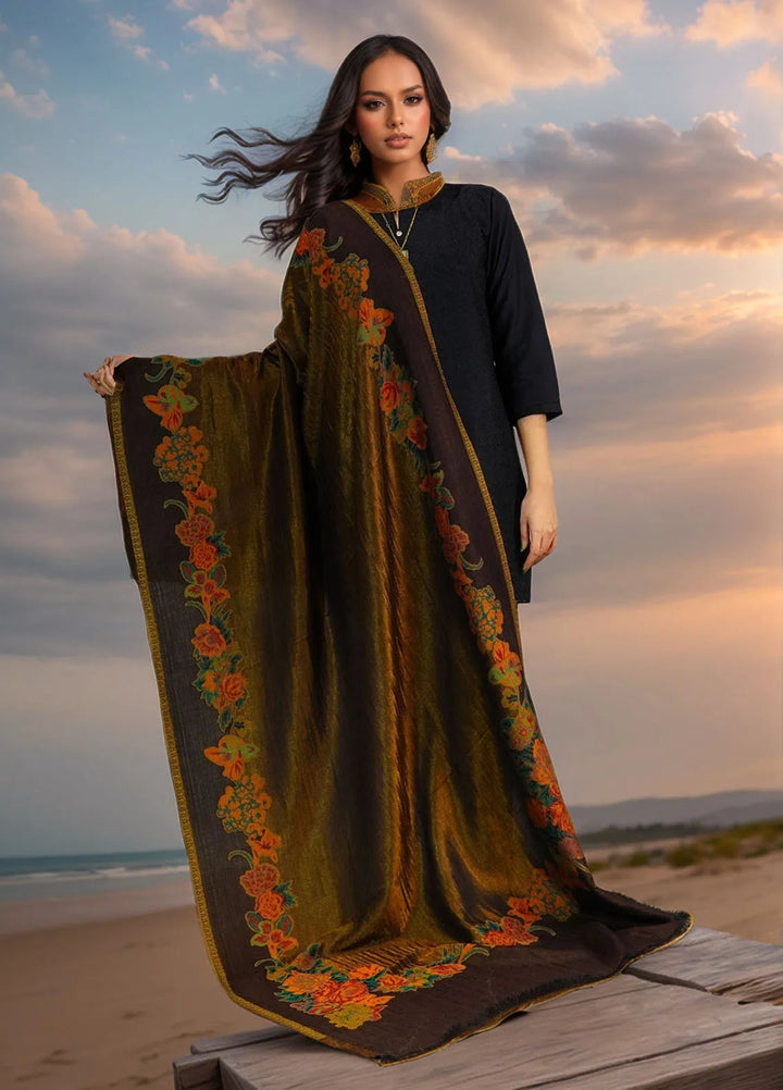 Sanaulla Exclusive Range Pashmina Shawl D-54 Dark Brown - Winter Collection