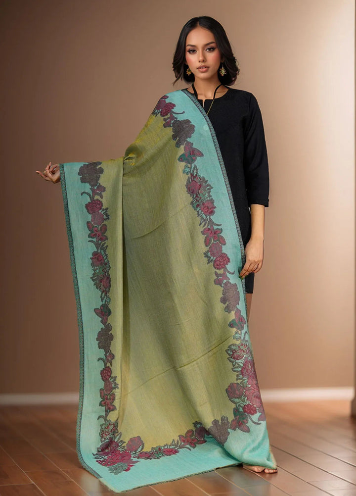 Sanaulla Exclusive Range Pashmina Shawl D-54 Light Green - Winter Collection
