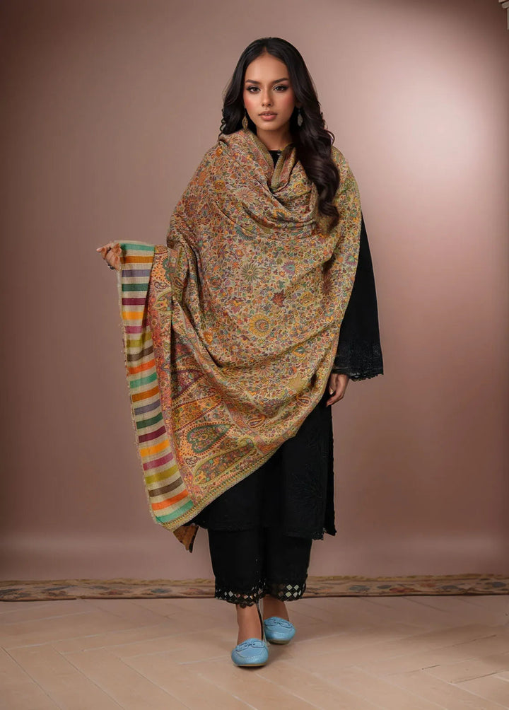 Sanaulla Exclusive Range Pashmina Shawl KPS D-18 Multi 18 - Winter Collection
