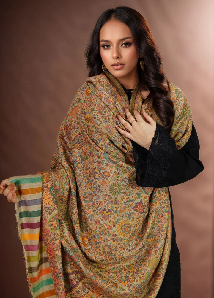 Sanaulla Exclusive Range Pashmina Shawl KPS D-18 Multi 18 - Winter Collection