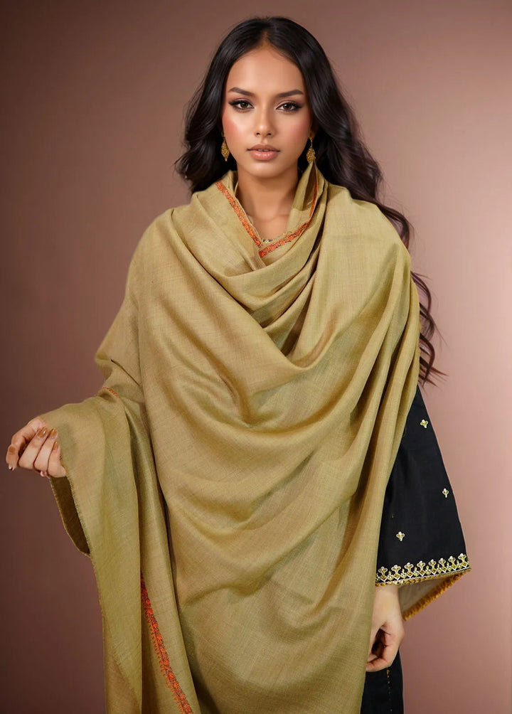 Sanaulla Exclusive Range Pashmina Shawl KPS D-19 Brown 1 - Winter Collection