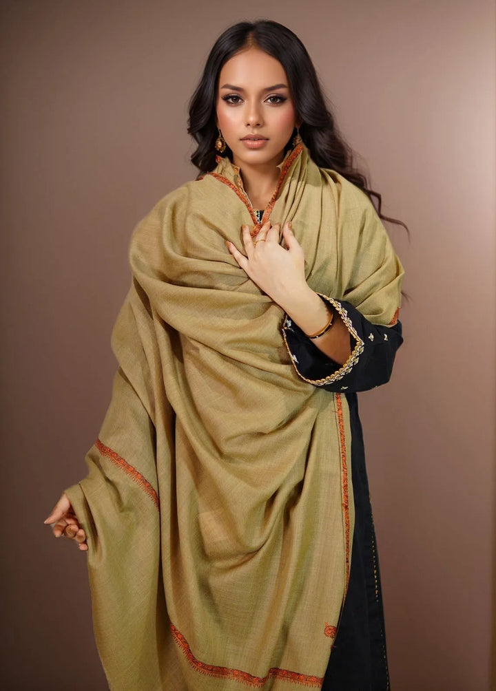 Sanaulla Exclusive Range Pashmina Shawl KPS D-19 Brown - Winter Collection