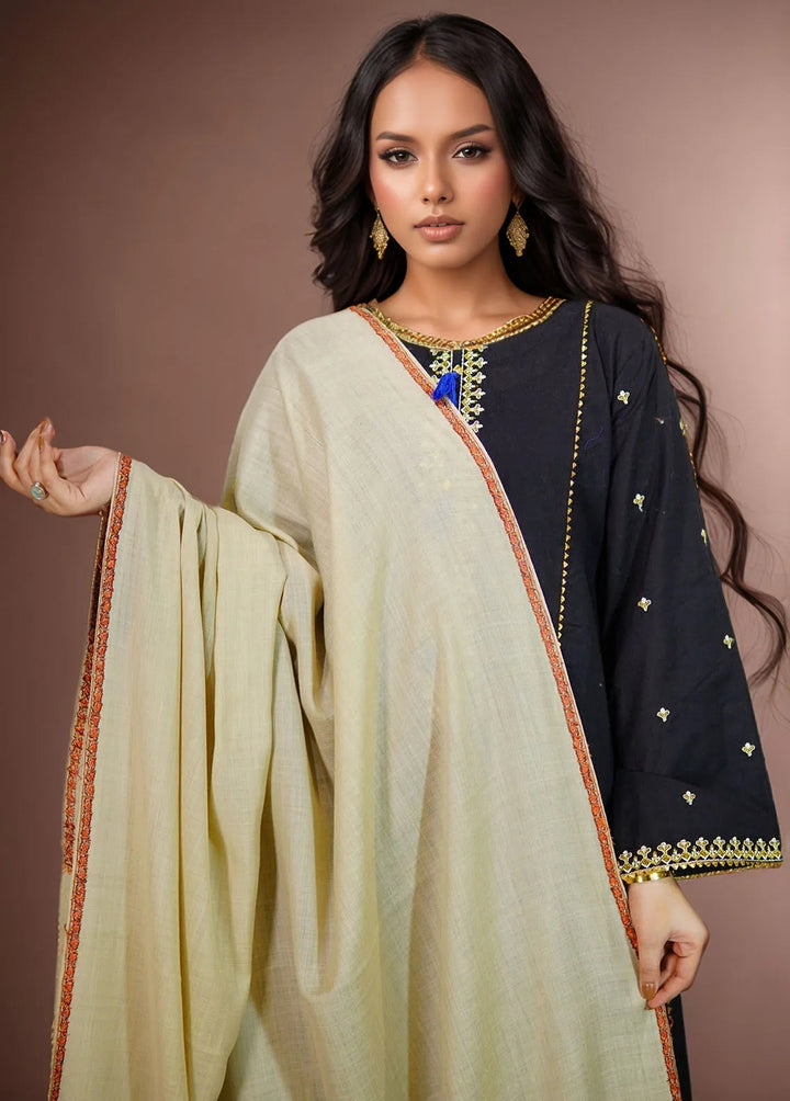 Sanaulla Exclusive Range Pashmina Shawl KPS D-19 Cream 1 - Winter Collection