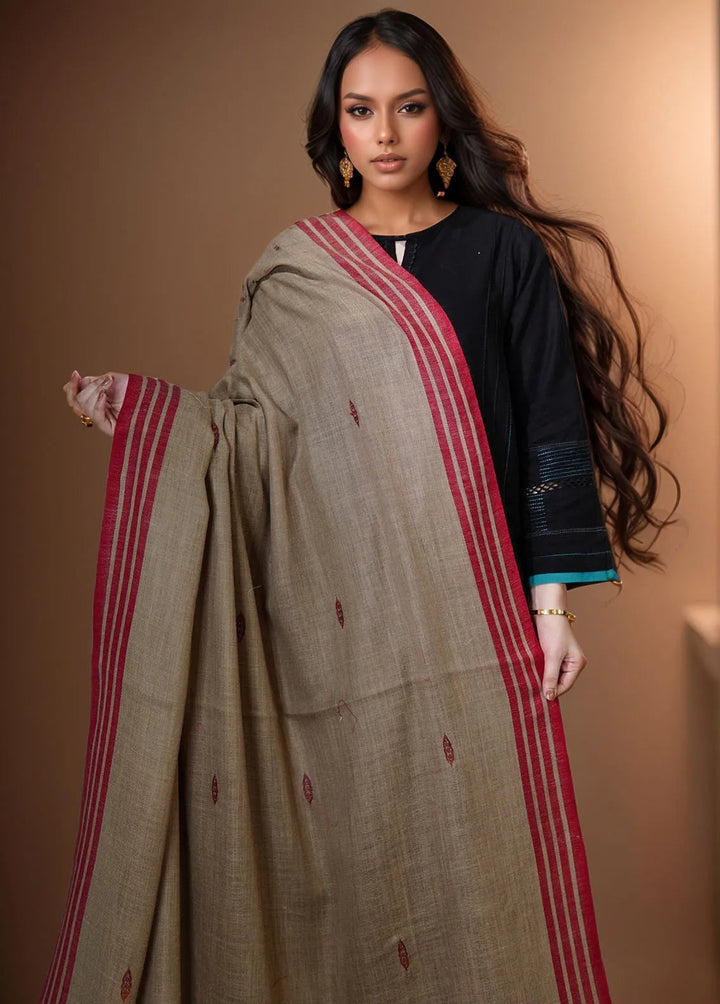 Sanaulla Exclusive Range Pashmina Shawl KPS D-2 Dark Brown 3 - Winter Collection