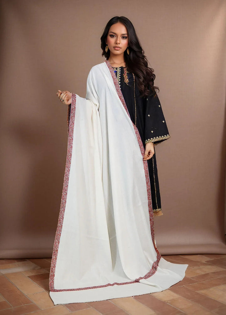 Sanaulla Exclusive Range Pashmina Shawl KPS D-28 Off White 1 - Winter Collection