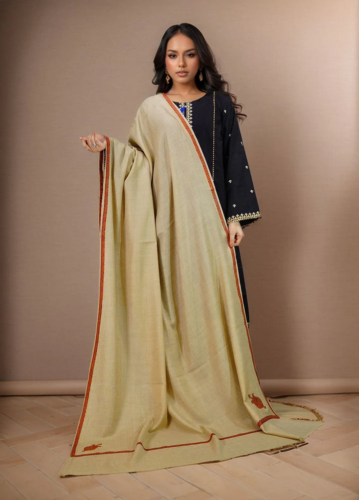 Sanaulla Exclusive Range Pashmina Shawl KPS D-38 Brown 3 - Winter Collection