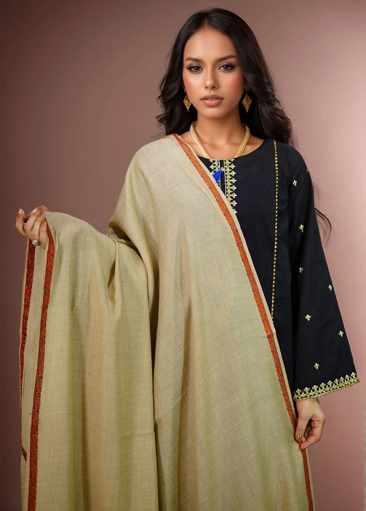 Sanaulla Exclusive Range Pashmina Shawl KPS D-38 Brown 3 - Winter Collection