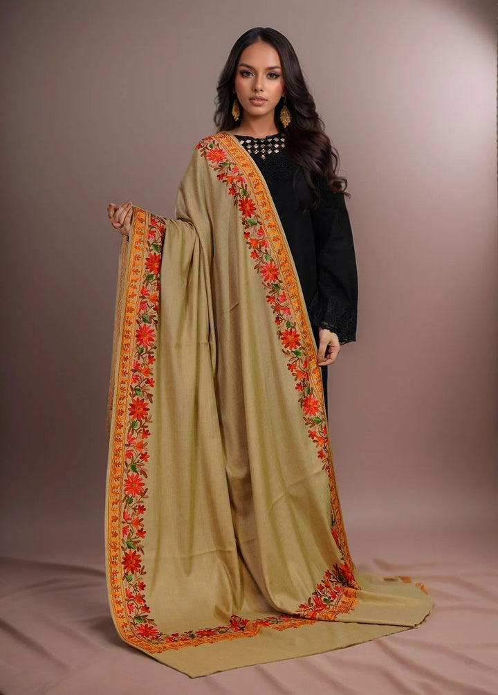 Sanaulla Exclusive Range Pashmina Shawl KPS D-4 Brown 3 - Winter Collection