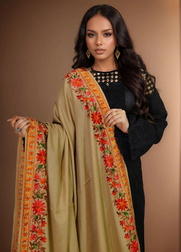 Sanaulla Exclusive Range Pashmina Shawl KPS D-4 Brown 3 - Winter Collection