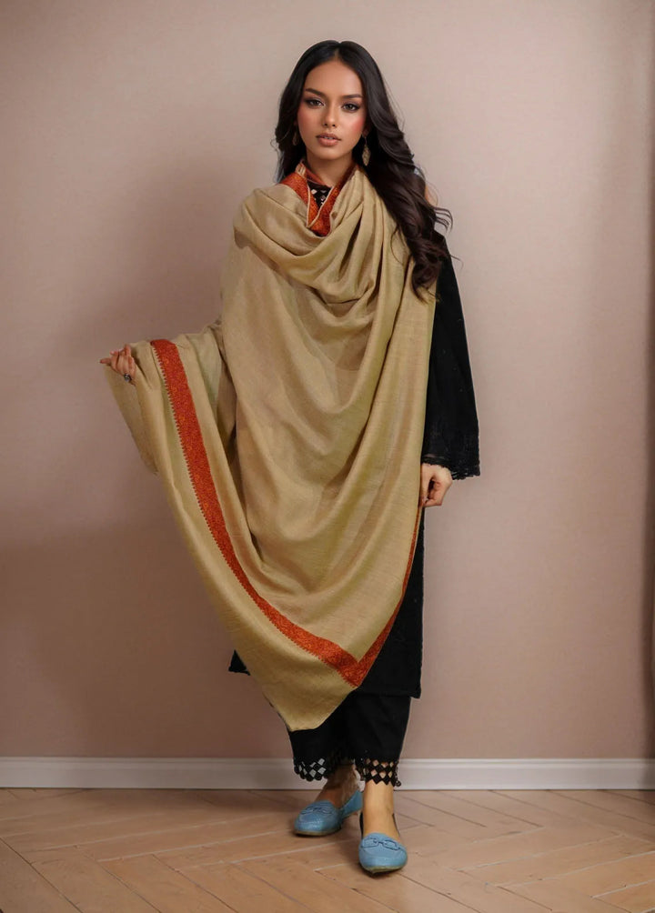 Sanaulla Exclusive Range Pashmina Shawl KPS D-41 Brown - Winter Collection