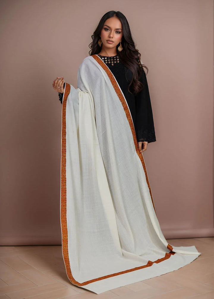 Sanaulla Exclusive Range Pashmina Shawl KPS D-41 White - Winter Collection