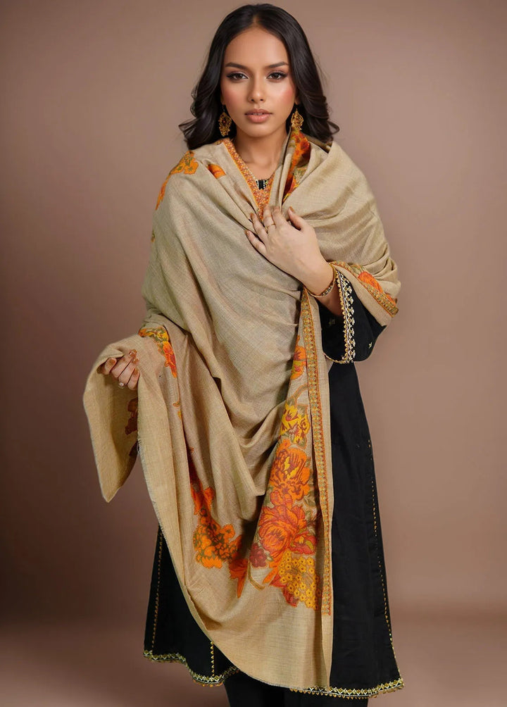 Sanaulla Exclusive Range Pashmina Shawl KPS D-42 Brown 3 - Winter Collection