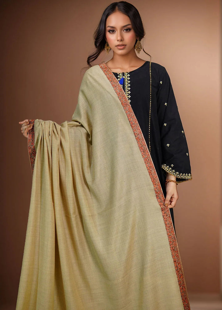 Sanaulla Exclusive Range Pashmina Shawl KPS D-51 Light Brown 4 - Winter Collection