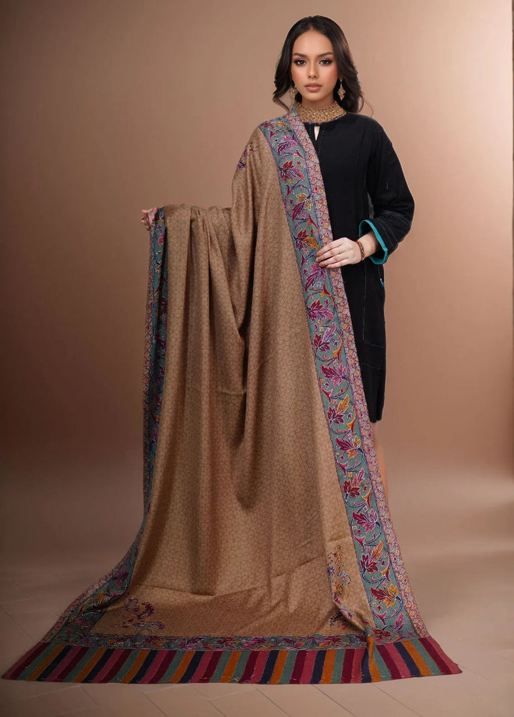 Sanaulla Exclusive Range Pashmina Shawl KPS D-52 Multi 2 - Winter Collection