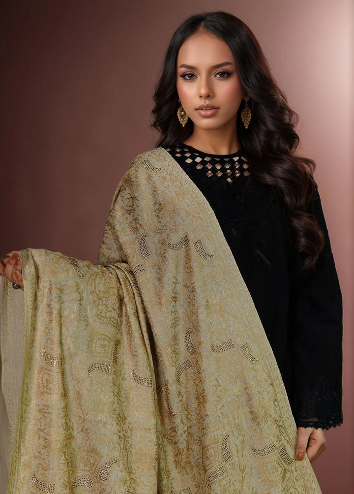 Sanaulla Exclusive Range Pashmina Shawl MAMA D-1 Cream - Winter Collection