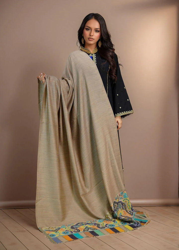 Sanaulla Exclusive Range Pashmina Shawl MAMA D-22 Multi 8 - Winter Collection