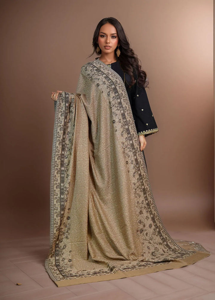 Sanaulla Exclusive Range Pashmina Shawl MAMA D-24 Brown - Winter Collection