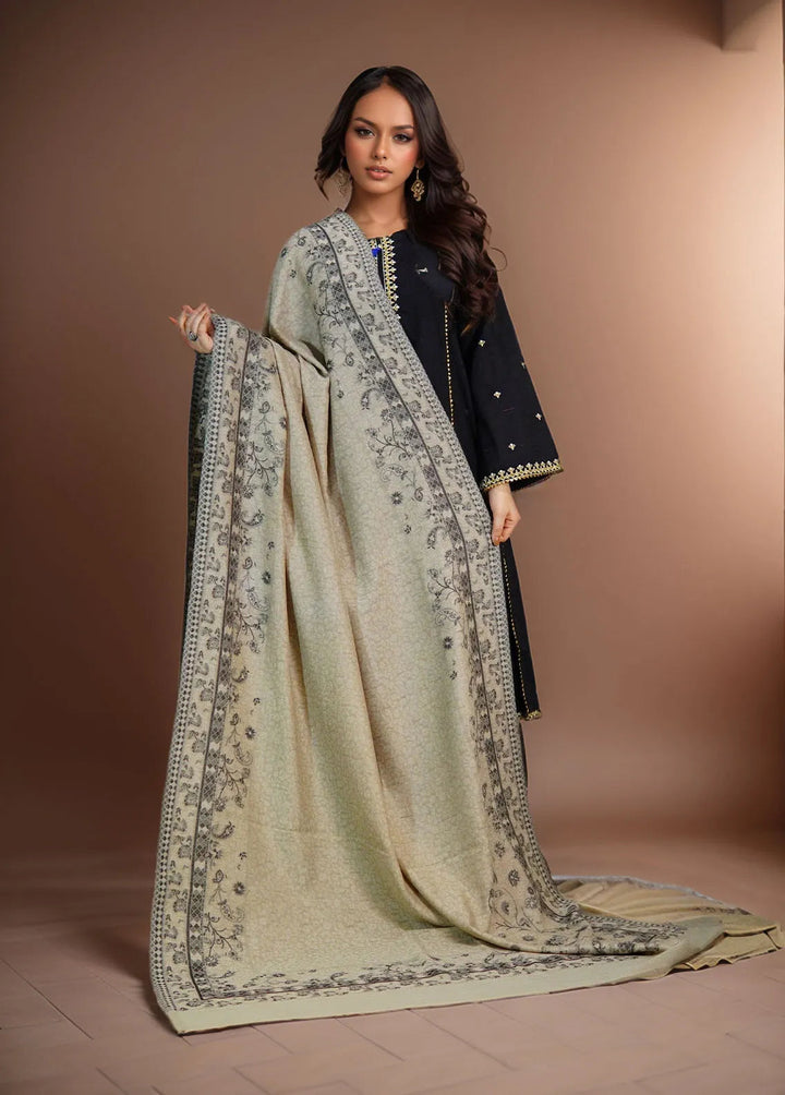 Sanaulla Exclusive Range Pashmina Shawl MAMA D-24 Light Grey - Winter Collection