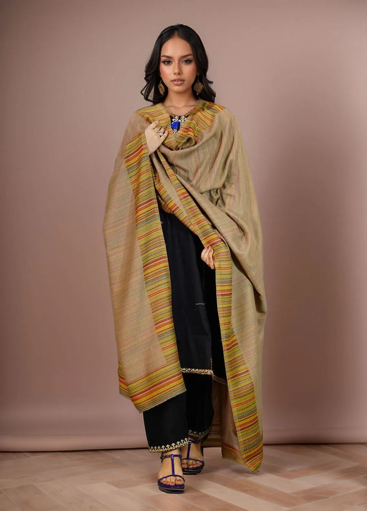 Sanaulla Exclusive Range Pashmina Shawl MAMA D-29 Brown 2 - Winter Collection