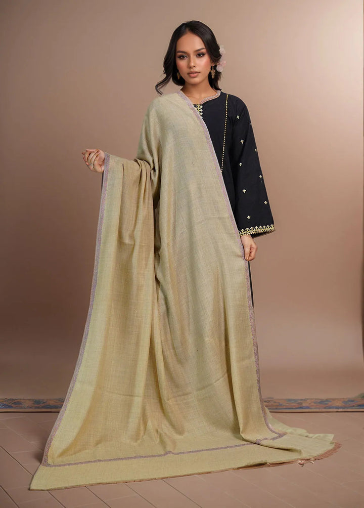 Sanaulla Exclusive Range Pashmina Shawl MAMA D-6 Brown 5 - Winter Collection