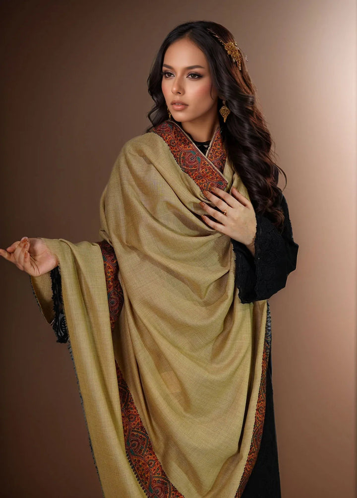 Sanaulla Exclusive Range Pashmina Shawl MAMA D-8 Brown - Winter Collection