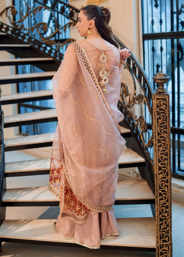 Savoir by Sahane Pret Embroidered Organza Suit 3 Piece CT-140001 Lirio